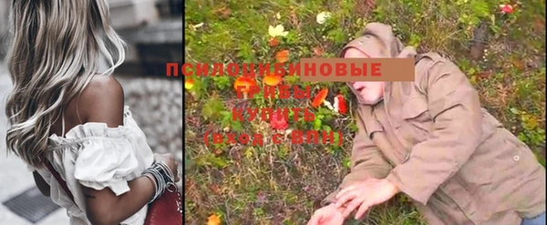 каннабис Верея